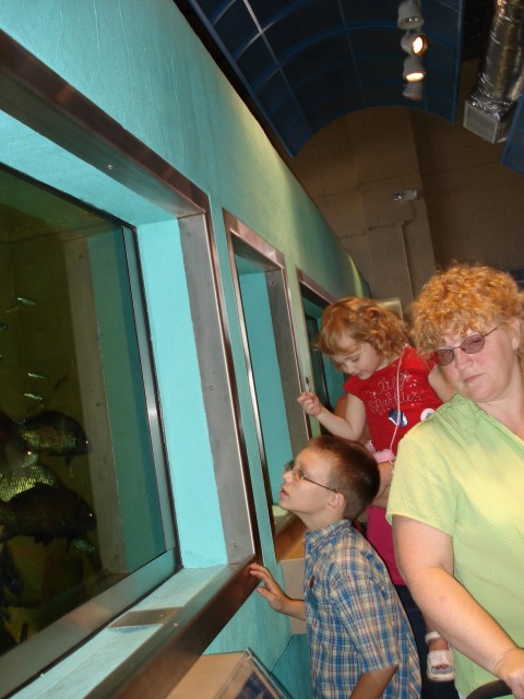 Here, fishy, fishy, fishy