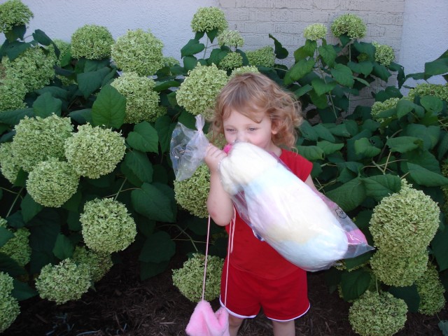 Marrying cotton candy isn't a good idea though...