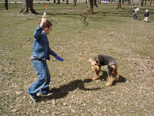 Give Timmy a jean jacket and he thinks he's a cowboy.  hehe