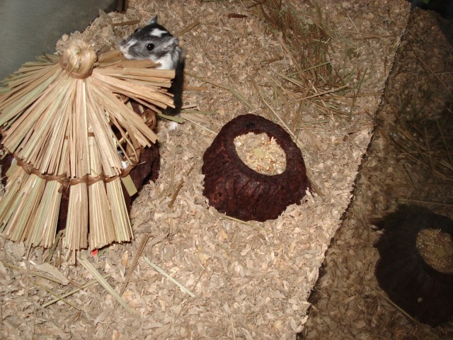 Dude, take your time eating it.  It cost like ten bucks!