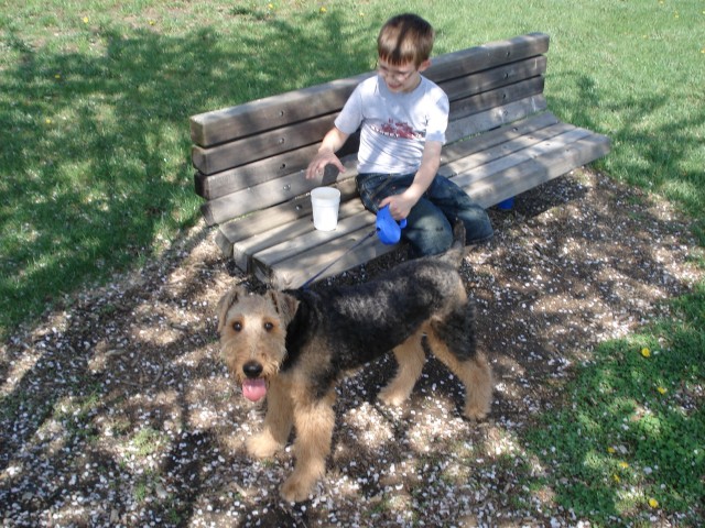 Scruffy is such a good boy!