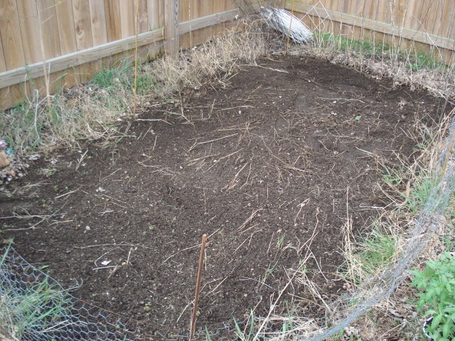 I got up early and raked/hoed the garden.