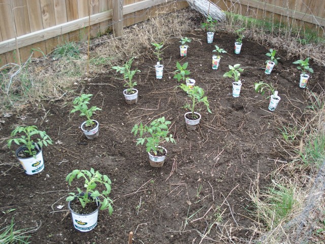 First you have to set it all out...