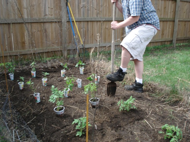 Then it's time to dig some holes!