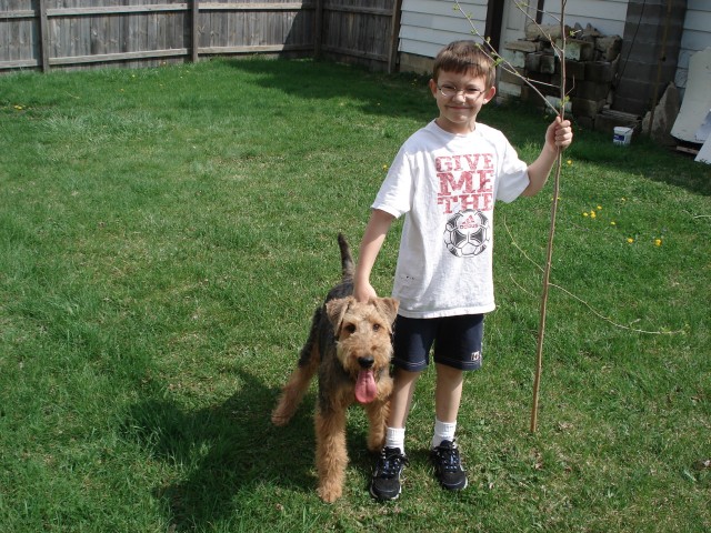 A boy, his dog, and a stick.  Sounds like a good movie, eh?