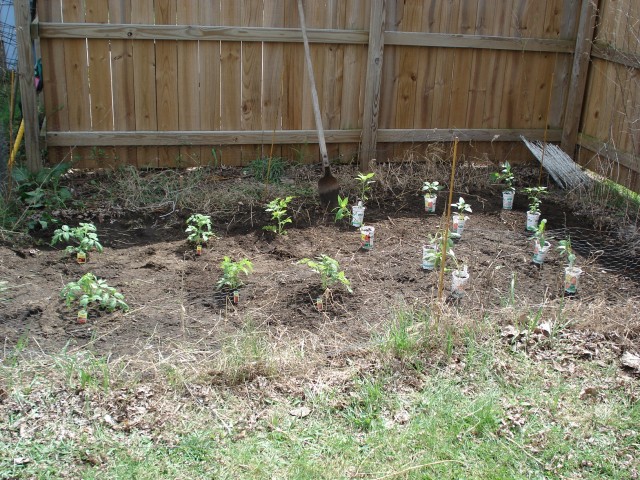 This is about as sparce of a garden as we've even har.