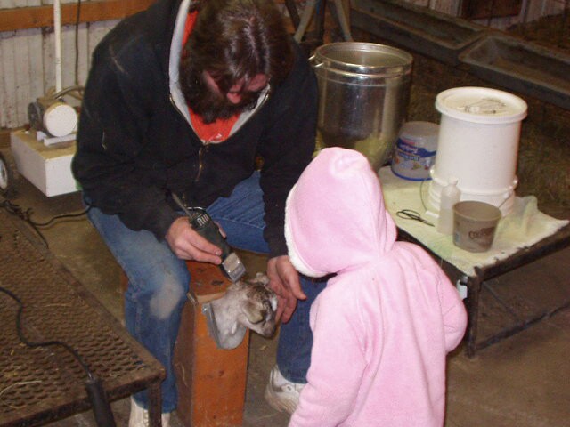 Why are you sitting on the goat?