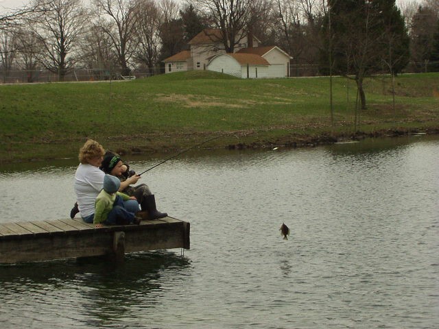 This boy just plucks these fish out of the water!