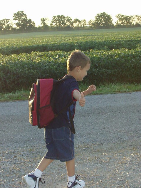 I'm going for the second bus. I can flag them down!!