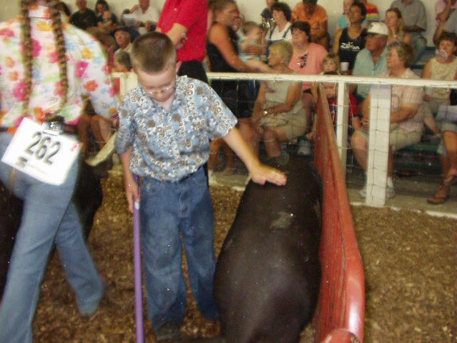 Keep the pig moving Timothy!