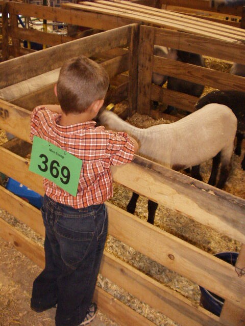 How's it going? Ewe look so pretty :)