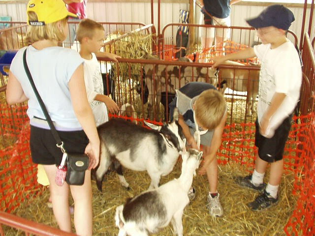 They are trying to eat us!