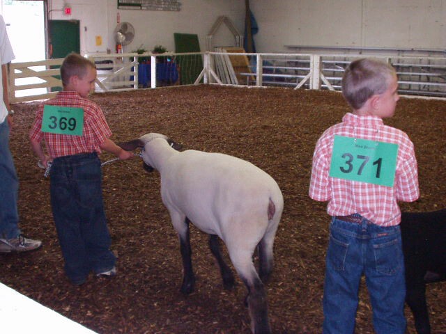 Everyone follow me :)