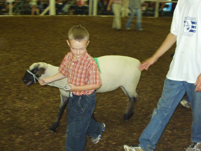 Elijah walks around like he owns the place :)