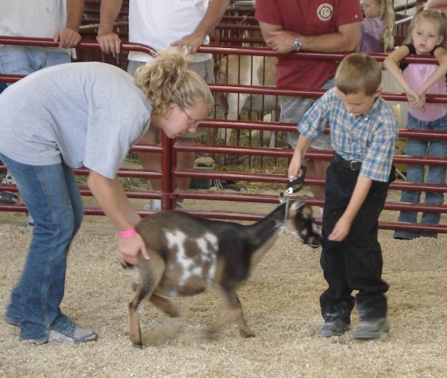 Goatie needs some motivation!