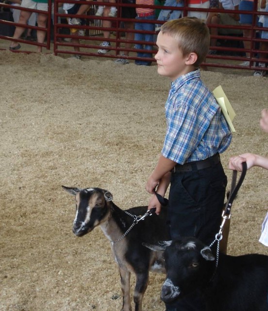 Bleeeeat!  Thunder only happens when it's raining!  Bleeeeat!