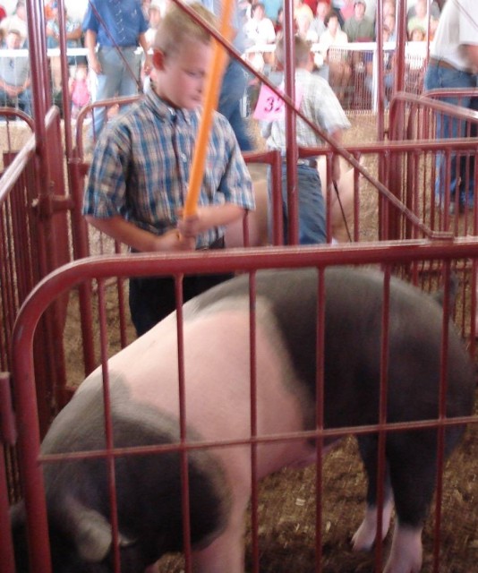 Obi-wan has taught you well, young pig-walker!  Pauuuu-Haaaa Pauuuu-Haaaa