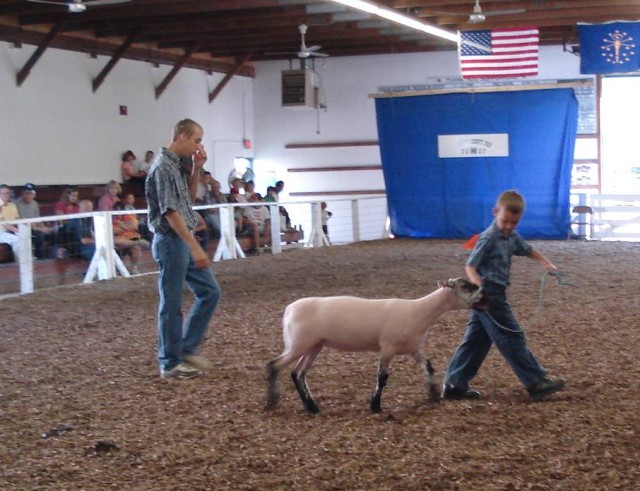 If only they could cook!