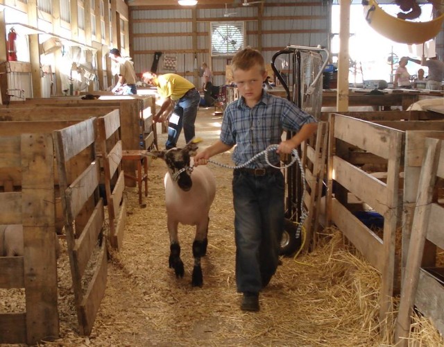 We're up next, sheepie.