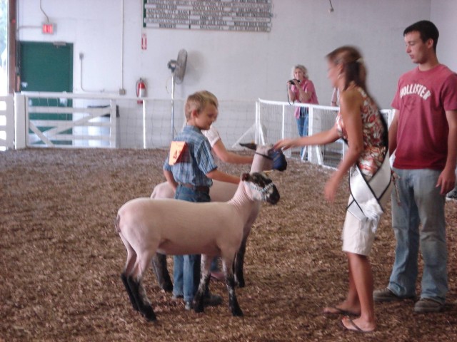 Thank you, oh grand Queen of the Sheeps.