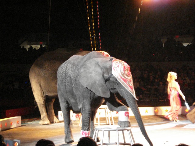 He's showing off his pedicure :)