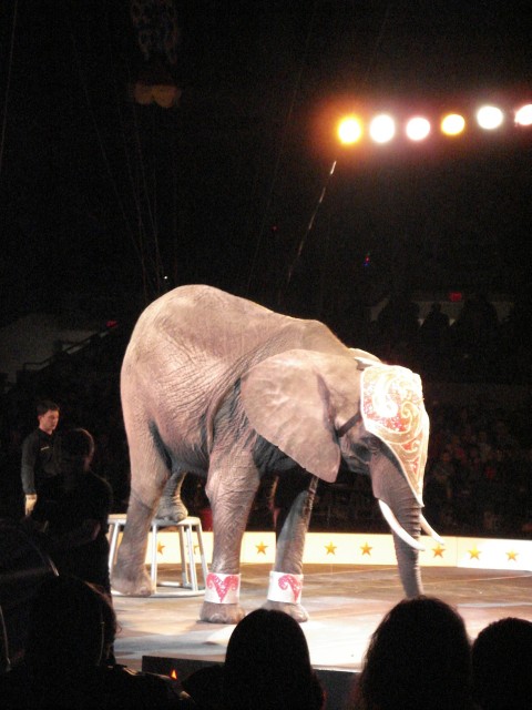 Elijah was impressed by their "horns"