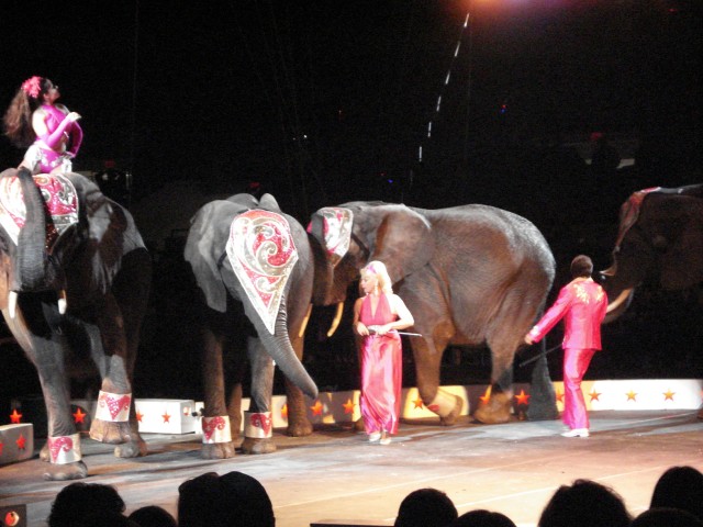 Wearing outfits like these in Indiana without a herd of elephants will get you arrested.