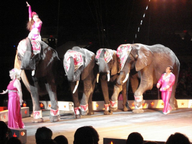 I think that's Wayne Newton, actually.