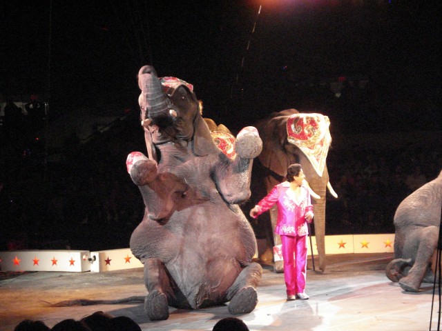 Yup, definitely Wayne Newton.