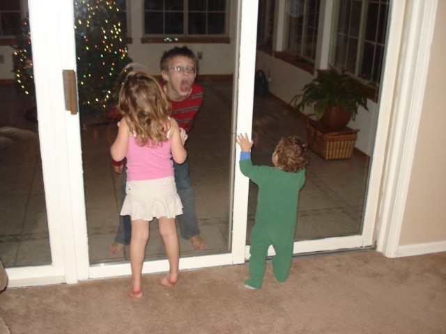 I've added windex to the grocery list :P