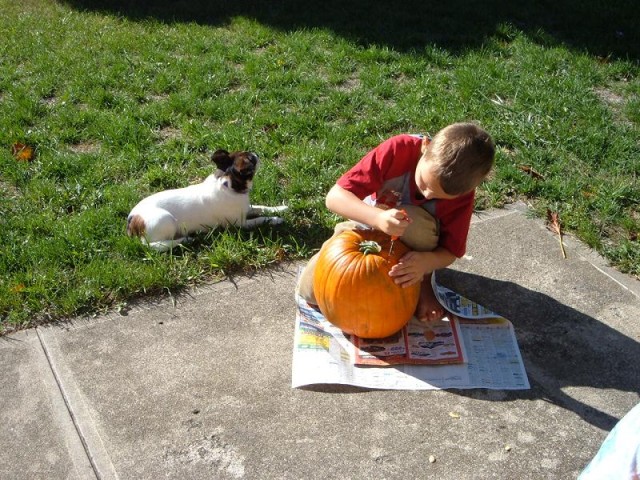 You've got to cut the top off first!