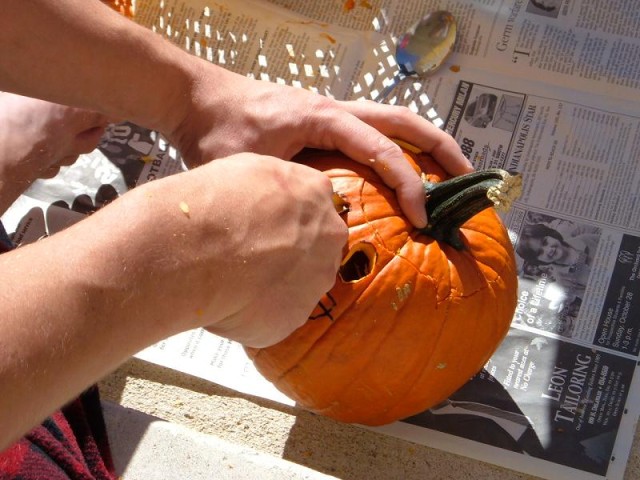 Be careful, doggie daddy!