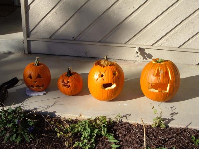 All of the hard work that goes into getting and carving pumpkins!  Woof.