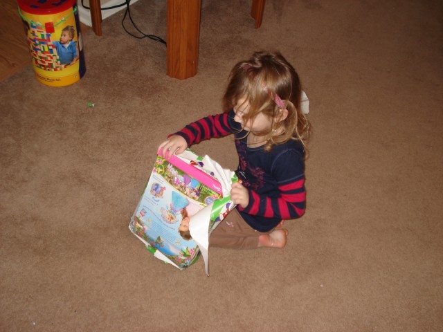 Abby got the Island Princess Barbie to go with the castle :)