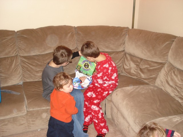 Isaiah wants to know if they're edible :)