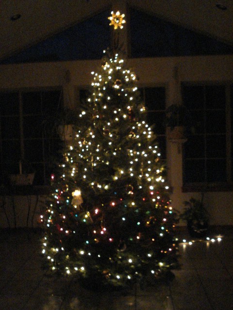 Purty tree!