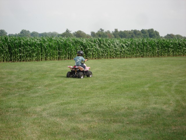 After awhile, he was like an old pro!