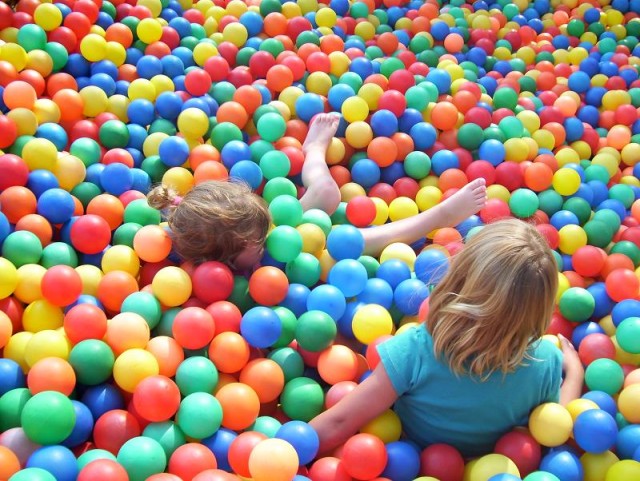 Those might be Abby's legs?