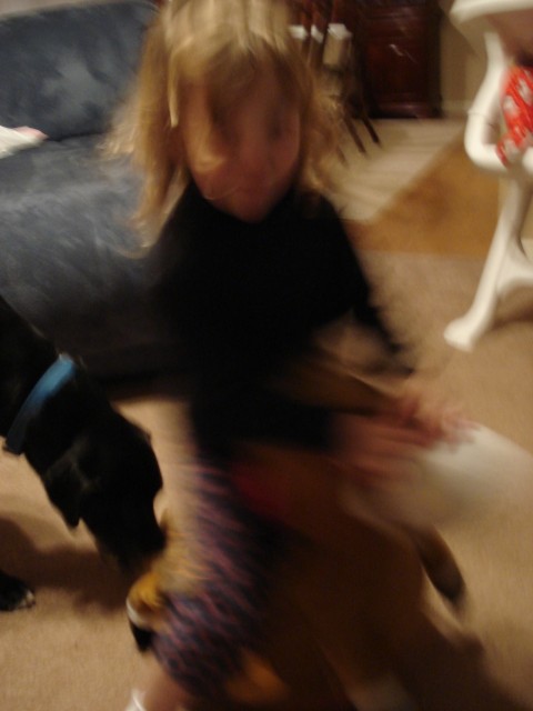 Bounce Bounce Bounce!