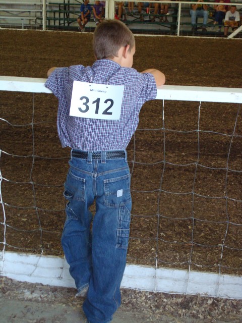 Waiting for the Rodeo? :)