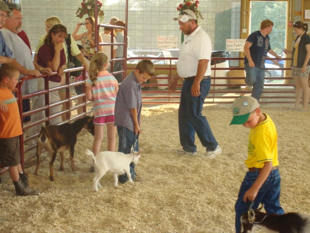 I had no idea that they made goats that little??