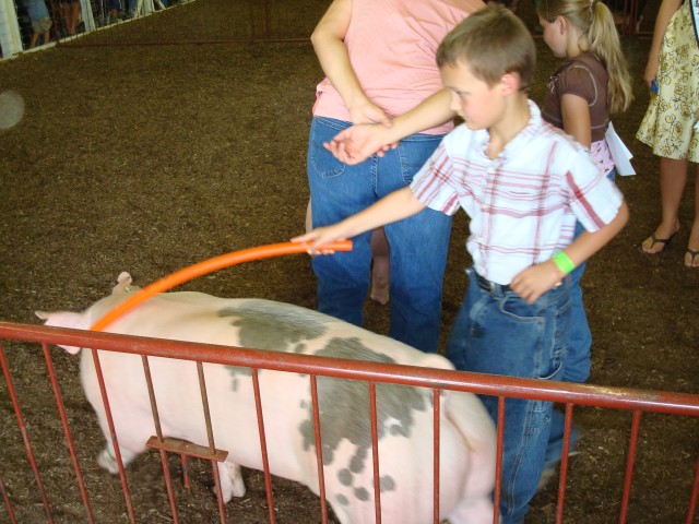 Take THAT piggie!
