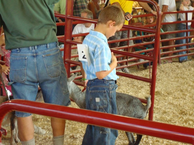 Elijah's goat was pooping :P