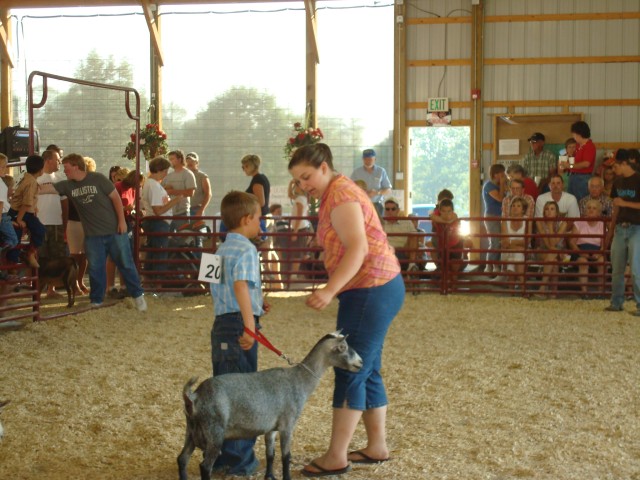 Why, sir, that is a mighty fine goat you have there.