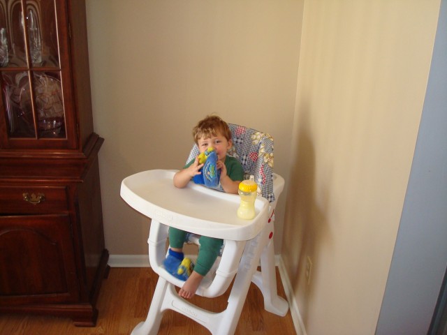 Don't eat your slipper!!