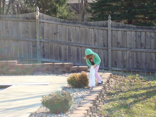 Abby took the egg hunt very seriously.