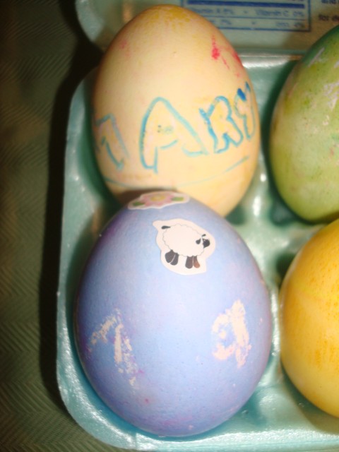 Mary's eggs up close!