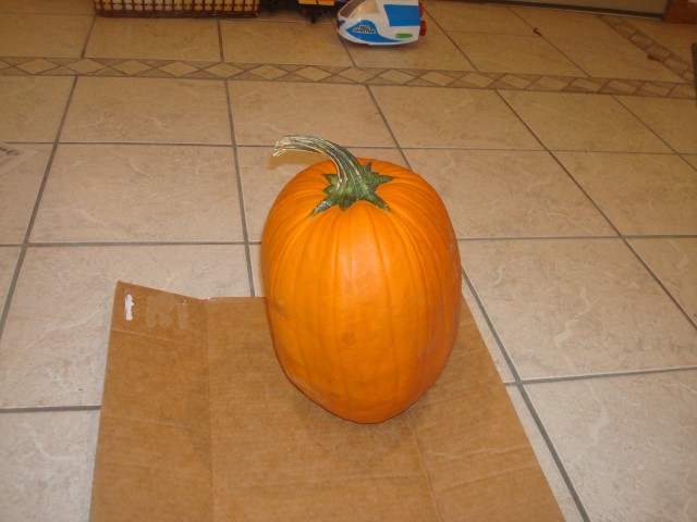 1 pumpkin!