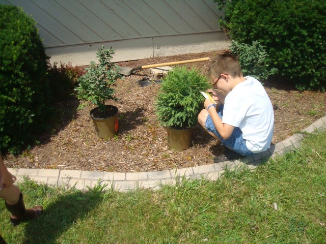 Timmy is the project lead in the "get these bushes into the ground" project :)