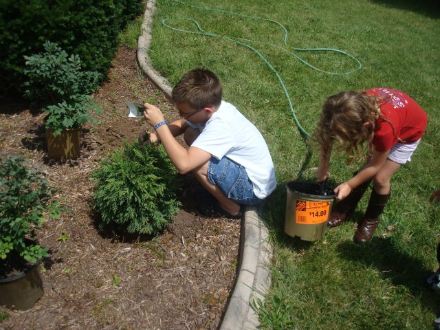 $14 and Home Depot :)  Woohoo!